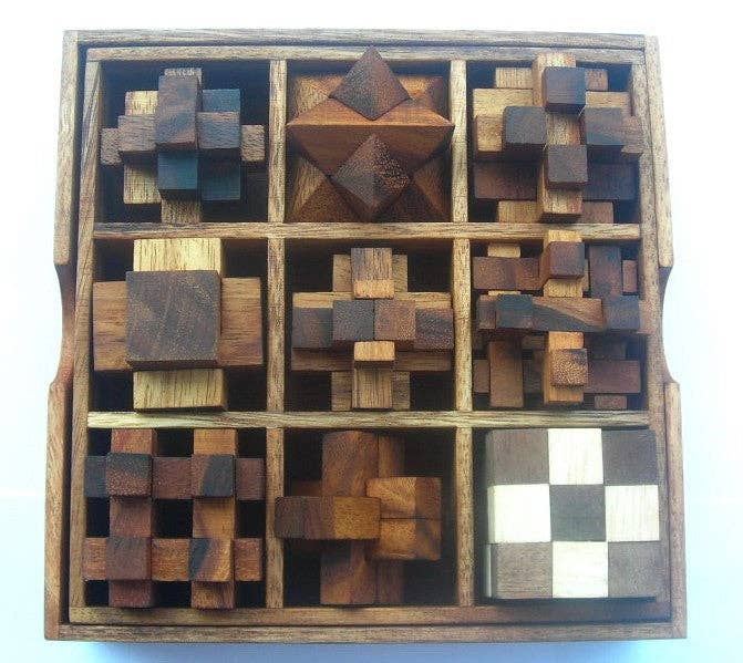 Brain teaser wood puzzle gift set of 9 mechanical puzzles in